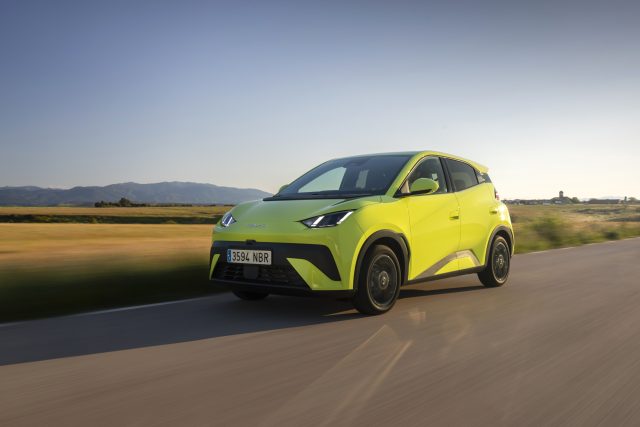 DOLPHIN SURF_Lime Green_Dinámico (26)